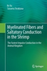 Image for Myelinated fibers and saltatory conduction in the shrimp  : the fastest impulse conduction in the animal kingdom