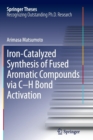 Image for Iron-Catalyzed Synthesis of Fused Aromatic Compounds via C–H Bond Activation