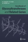 Image for HANDBOOK OF GLYCOSYLTRANSFERASES &amp; RELAT
