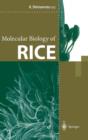 Image for Molecular Biology of Rice