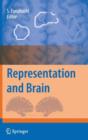 Image for Representation and Brain