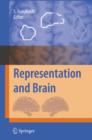 Image for Representation and Brain