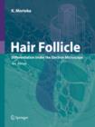 Image for Hair Follicle