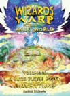 Image for Wizards Warp : Portal to Maze World