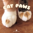 Image for Cat Paws