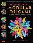 Image for Mind-blowing modular origami  : the art of polyhedral paper folding