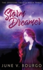 Image for Storm Dreamer