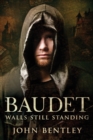 Image for Baudet : Walls Still Standing