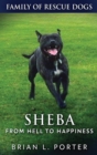 Image for Sheba - From Hell to Happiness
