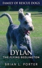 Image for Dylan - The Flying Bedlington
