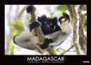 Image for Madagascar