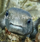 Image for My Fish Friends