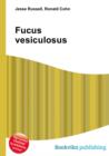 Image for Fucus vesiculosus
