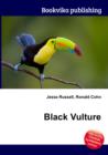 Image for Black Vulture