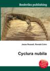 Image for Cyclura nubila