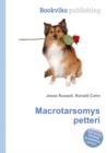 Image for Macrotarsomys petteri