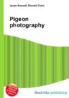 Image for Pigeon photography