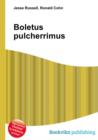 Image for Boletus pulcherrimus