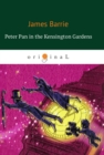Image for Peter Pan in the Kensington Gardens
