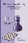 Image for One Pawn Saves the Day: A World Champion&#39;s Favorite Studies
