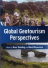 Image for Global geotourism perspectives