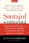 Image for Santajul Sentimental