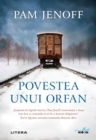 Image for Povestea Unui Orfan