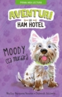 Image for Aventuri la Ham Hotel: Moody Cea Murdara