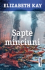 Image for Sapte minciuni