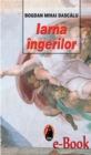 Image for Iarna ingerilor (Romanian edition)