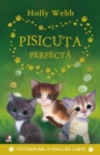 Image for Pisicuta Perfecta