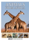 Image for Animals from Africa