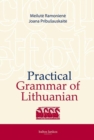 Image for Practical Grammar of Lithuanian