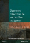 Image for Derechos colectivos de los pueblos indigenas