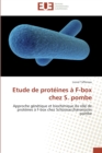 Image for Etude de proteines a f-box chez s. pombe