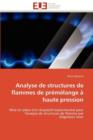 Image for Analyse de Structures de Flammes de Pr m lange   Haute Pression
