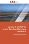 Image for Le Canard Pilet (Anas Acuta) Dans Le Pal arctique Occidental