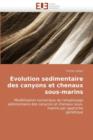 Image for Evolution Sedimentaire Des Canyons Et Chenaux Sous-Marins