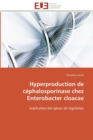 Image for Hyperproduction de cephalosporinase chez enterobacter cloacae