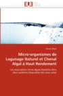 Image for Micro-Organismes de Lagunage Naturel Et Chenal Algal   Haut Rendement