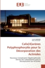 Image for Calix[4]arenes polyphosphoryles pour la decorporation des actinides