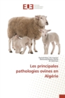 Image for Les Principales Pathologies Ovines En Algerie