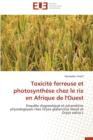 Image for Toxicite Ferreuse Et Photosynthese Chez Le Riz En Afrique de L&#39;Ouest