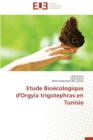 Image for Etude Bio cologique d&#39;Orgyia Trigotephras En Tunisie