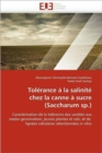 Image for Tol rance   La Salinit  Chez La Canne   Sucre (Saccharum Sp.)