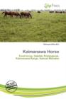 Image for Kaimanawa Horse