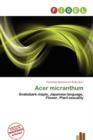 Image for Acer Micranthum