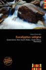 Image for Eucalyptus Saligna
