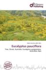Image for Eucalyptus Pauciflora