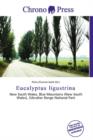 Image for Eucalyptus Ligustrina